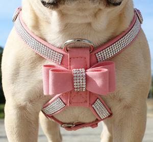 Leather <strong>Dog</strong> <strong>Harness</strong> with Bow Embellishment and Buckle Closure Breathable Fashion Style for <strong>Small</strong> to Large <strong>Dogs</strong> (XS-XL Sizes) - Product Image 4
