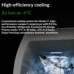 Mini-réfrigérateur de voiture Tesla Model Y Glacier avec compresseur, réfrigération, maintien au frais, <span class=keywords><strong>12V</strong></span> DC, compatible OLIVER - Product Image 5