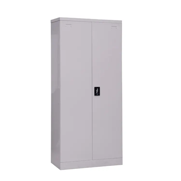 Luoyang-armario de almacenamiento de metal de 2 puertas, muebles de oficina, fábrica