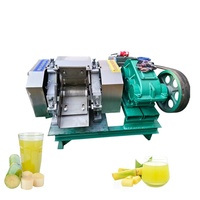 Suikerrietpersmachine Grote Capaciteit Bagasse Scheiding Gemakkelijk te Reinigen Drankjeswinkel Elektrische Suikerriet Sap Extractor Machine