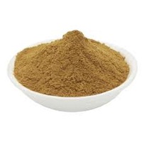 Poudre d'extrait de Cissus Quadrangularis pour soutenir des os solides, des articulations saines et des niveaux de cortisol dans le corps