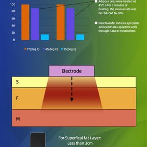 Máquina Reductora de Grasa Abdominal, Equipo Deportivo para Quemar Grasa, Dispositivo para Reducir Grasa Abdominal - Product Image 5