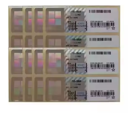 Clé de licence WIN11/WIN10 PRO NOIRE