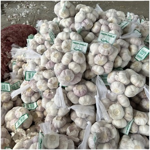 Chine nouvel <span class=keywords><strong>ail</strong></span> frais de qualité supérieure nouvelle culture chinoise <span class=keywords><strong>ail</strong></span> frais pelé <span class=keywords><strong>ail</strong></span> blanc pur prix à vendre Ajos <span class=keywords><strong>Ail</strong></span> - Product Image 3