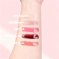 Gloss à lèvres minéral végétalien de haute qualité de marque privée, transparent et riche, rouge à lèvres liquide longue durée, hydratant, taille standard