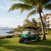 La dernière voiturette de golf électrique 6 places est équipée d'essuie-glaces électriques et conforme aux réglementations routières.