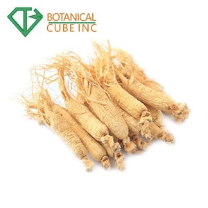 B.C.I. Tedarik sıcak satış suda çözünür kore kırmızı <span class=keywords><strong>Ginseng</strong></span> kökü ekstraktı <span class=keywords><strong>Panax</strong></span> <span class=keywords><strong>Ginseng</strong></span> özü tozu - Product Image 2