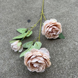 Nuevas Flores Artificiales para Bodas de Otoño (Rosa, Lirio, <span class=keywords><strong>Tulipán</strong></span>, Phalaenopsis, Yumei) en Colores Caramelo Maillard, Decoración de Plástico para Caminos - Product Image 1