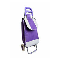 Chariot de courses pliable d'extérieur personnalisé, mini, de haute qualité, pour légumes et aliments, avec poignée en tube d'acier - Offre spéciale