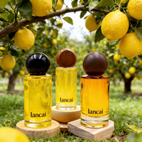Flacon de parfum en verre borosilicate de 100 ml avec bâtonnets diffuseurs, bouchon à vis, couvercle hermétique et surface décorable