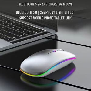 Ratón Inalámbrico Ergonómico Recargable X722-2 de Modo Dual para Juegos, 2.4G BT, Portátil, con Receptor Nano USB - Product Image 2