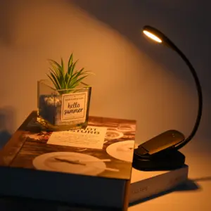 Lampu buku fungsi waktu No Blu-Ray, lampu baca Mini Usb dapat diisi ulang untuk buku di tempat tidur klip pada lampu buku Led