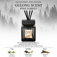 Diffuseur de parfum pour voiture en verre carré rechargeable, 200 ml, distributeur de brume aromatique pour l'intérieur de la voiture, étiquette OEM