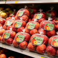 Autocollant en vinyle imperméable personnalisé de haute qualité, autocollant pour fruits en PVC, résistant à la chaleur, adhésif puissant, respirant