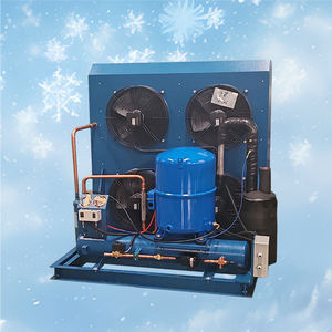 Unité <span class=keywords><strong>de</strong></span> condensation <span class=keywords><strong>de</strong></span> réfrigération <span class=keywords><strong>de</strong></span> <span class=keywords><strong>compresseur</strong></span> refroidi par air <span class=keywords><strong>de</strong></span> haute qualité R404a R134a DC pour la salle d'entreposage frigorifique - Product Image 1