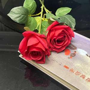 Festa della terra pasqua festa del papà laurea fiori decorativi ghirlande e piante - Product Image 5