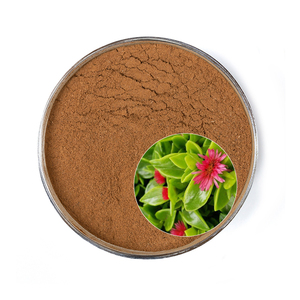 99% ธรรมชาติบริสุทธิ์สารสกัดจาก paniculata ของเขา10:1 20:1 30:1 50:1ผงสารสกัดจากสมุนไพร ISO9001/ฮาลาล/โคเชอร์ได้รับการรับรอง - Product Image 2