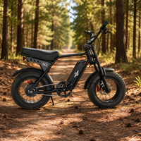 2024 bonne vente 30km-40km gamme gros pneu vélo électrique nouveau 48v 750w batterie moteur rapide cadre en alliage d'aluminium système de frein à disque