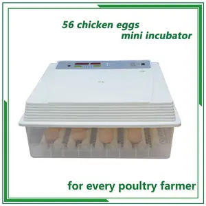 Incubateur automatique pour œufs de poulet, 12v, 112 v, 220 unités, pour utilisation domestique