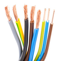 300V 500V Maßgefertigter Kupferkern PVC-Isolierter Baukabel für Festinstallationen Mehradriges Leiterkabel Heizung
