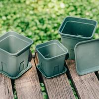 Vente directe d'usine racine carrée balcon plantation de fleurs et de légumes Pots de fleurs en plastique de grande taille pour plantes