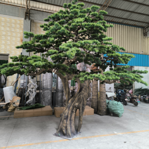 Chinese Paulownia Tree: Fast-Growing & Durable