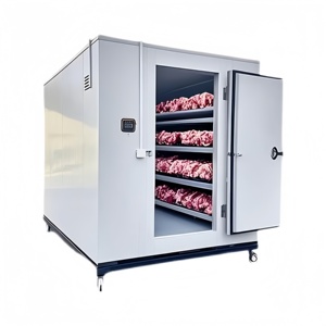 Conteneur de congélation pour viande de bœuf, fruits de mer, panneaux PU de 50 mm d'épaisseur, pour chambre froide de fabrication neuve ou d'occasion avec moteur Tecumseh - Product Image 1
