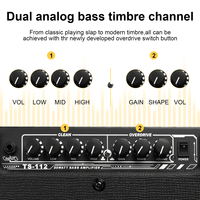 Accessoires d'Enceinte, Amplificateur Basse Électrique 30 Watts pour Guitare Basse Électrique 4 Cordes avec Canal Clean et Overdrive