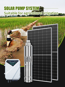 bibo Brushless <b>Submersed</b> Solar Deep Well Screw <b>Pump</b> High 750W System for Agriculture Irrigation - Product Image 3