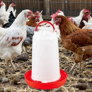 Poultry Equipment <strong>Chicken</strong> Farming Cheap <strong>Chicken</strong> Feeders And Drinkers Babby <strong>Chicken</strong> Drinker