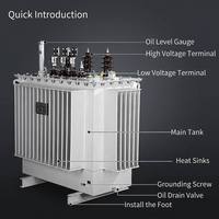 Transformador Trifásico Sumergido en Aceite Zleeg, Transformador de Potencia Eléctrica Elevador/Reductor, Transformador Sumergido en Aceite de 250 KVA a Bajo Precio