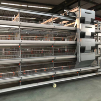 Cage de couveuse de volaille type, convient également pour la mise à jour automatique des œufs
