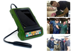 جهاز تشخيصي كامل رقمي على شكل B جهاز تشخيص بالموجات فوق الصوتية لفحص الحيوانات RKU10 - Product Image 4