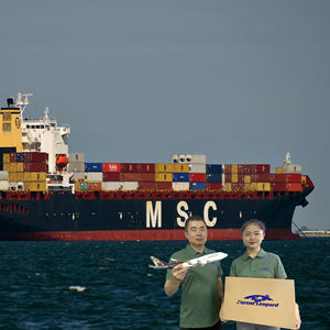 Assicurazioni Top 10 spedizionieri a <span class=keywords><strong>FELIXSTOWE</strong></span> 21 chilogrammi trasporto marittimo merci via mare/mare libero prezzo migliori tariffe di trasporto - Product Image 3