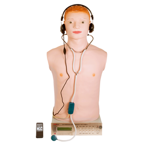 Manichino per Auscultazione Mezzo Busto di Alta Qualità per Medici Generali, Materiale Didattico - Product Image 1