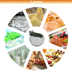 Envio Rápido: Pó de Enzima Lipase 5.000u/g Grau Alimentício para Suplemento de Saúde, Pó Puro com Preço de Atacado - Product Image 3