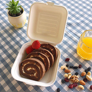 Wadah makanan Clamshell 6x6 sekali pakai dapat dikompos untuk <span class=keywords><strong>Burger</strong></span> <span class=keywords><strong>Fries</strong></span> Salad kue sandwich terbuat dari Bagasse - Product Image 4