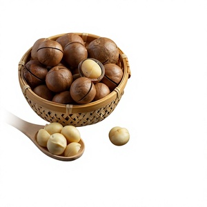 Factory In Vietnam Best Quality Special Offer Cracked Roasted <b>Macadamia</b> <b>Nuts</b> 5kg - Product Image 1