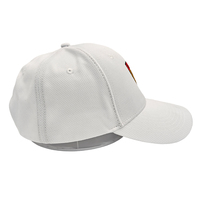 Casquette de baseball unisexe imperméable en coton à 6 panneaux, été, logo brodé blanc, motif uni, casquette de camionneur, hip-hop, sportive