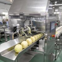 Automatische fruit- en groenteschilmachine van roestvrij staal, industrieel, voor mango, ananas, aardappel, sinaasappel, commerciële voedselverwerking