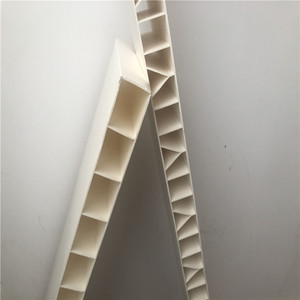 PP de plástico hueco de la <span class=keywords><strong>red</strong></span> de producción de extrusión de la línea de la máquina - Product Image 4