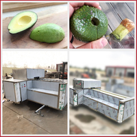 Fabrieksleverancier van avocado-ontpitter, fruitpitverwijderaar, zaadextractiemachines voor abrikozen- en pruimenverwerking