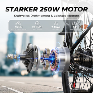 Pedido al por Mayor, Envío Directo, Bicicleta Eléctrica Urbana VARUN con Autonomía de 60 km, Bicicleta Eléctrica de 27.5 Pulgadas, 250 W, 5 Niveles de Asistencia, Paseos Urbanos para Hombres, en Existencia en la UE - Product Image 2