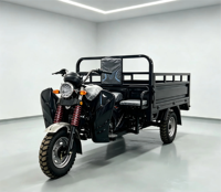Dreirädriges Fahrzeug mit 200ccm Luftgekühltem Motor Große Ladekapazität für Gewerblichen Transport