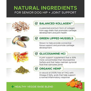 Odm oem oem לחיות מחמד תוספי מזון מפרק הירך להתאמה אישית לועסים גלוקוזאמין msm עבור כלבים כלבים טבליות לעיסה/קפסולות מנוסה - Product Image 5