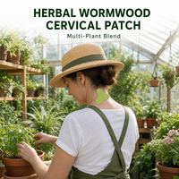 Patch Cervical en Gros à l'Armoise, Marque Privée OEM, Faible MOQ, Fournisseur en Gros, Dropshipping, Soulagement des Douleurs Dorsales, Certifié CE, pour Femmes et Hommes