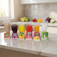 Poudre de jus de fruits en gros, marque privée personnalisée, 100 % naturelle, boisson instantanée en poudre, provenant d'un fournisseur chinois