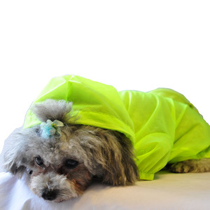 Wear leather waterproof UV Tough camo dog rait layer - Product Image 1