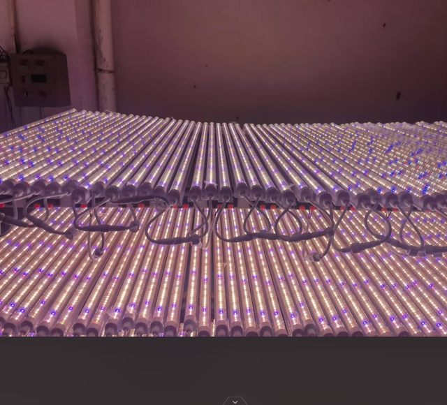Full Spectrum Dimming Color and Watts Grow Light System Hydroponic IP65 Waterproof LED Grow Pant Light for Vegetables and Fruits