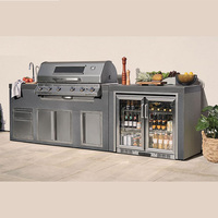 Cuisine extérieure en acier inoxydable avec barbecue au gaz intégré, design personnalisé, armoire de cuisine avec évier pour jardin